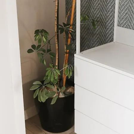 Apartamento Mk77 - Atiko León