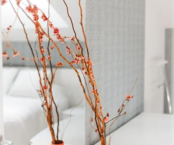 Mk77 - Atiko Apartmán