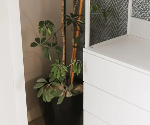 Apartmán Mk77 - Atiko León